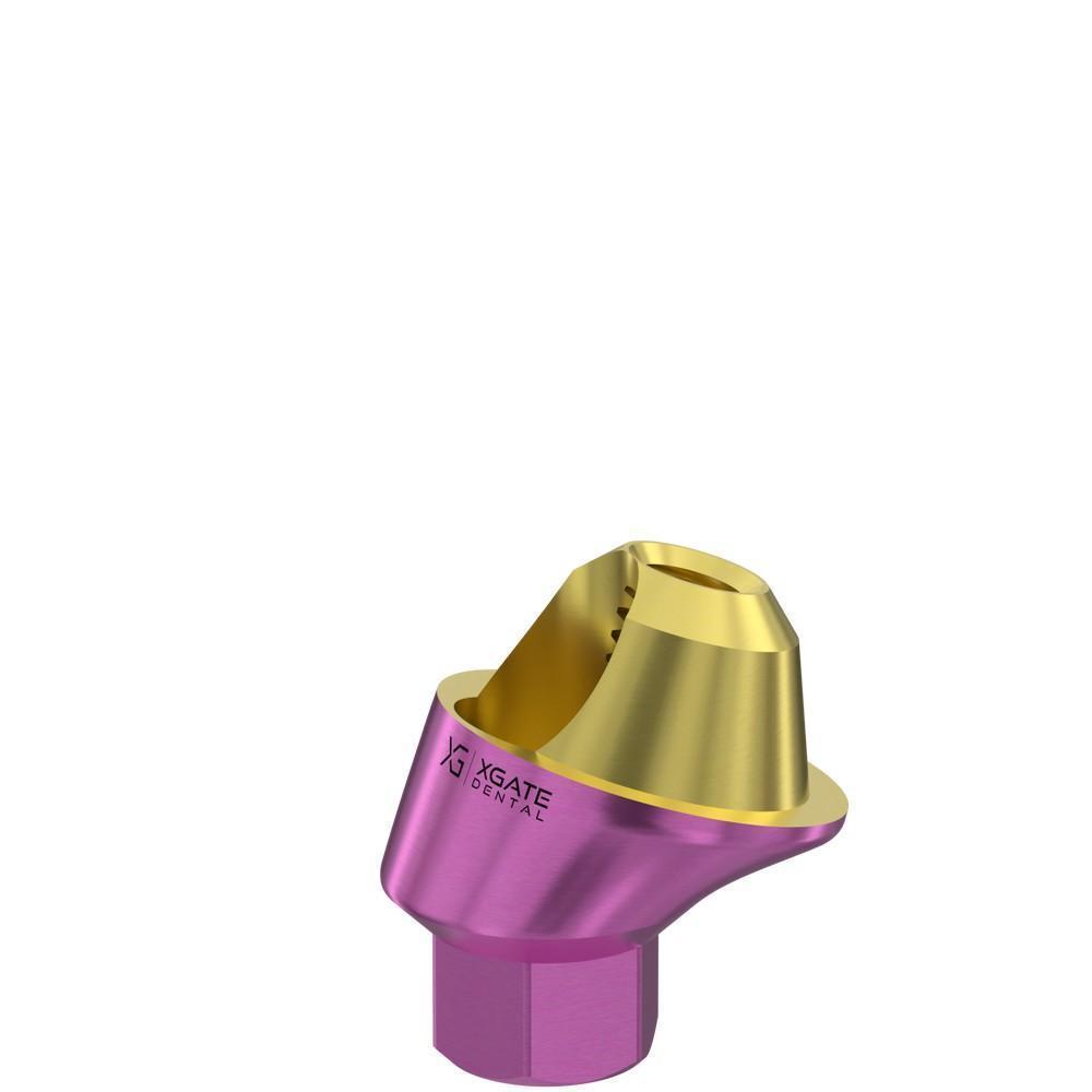 XGATE D-Type 17-degree angled multi-unit abutment used in Dr. Tacconelli's case.