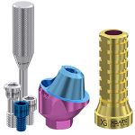 Set 17° angled multi unit abutment D-type with temporary sleeve DE