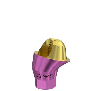 17° Multi-Unit Abutment D-Type GH 1 mm for NobelActive® RP