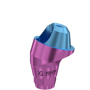 17° Multi-Unit Abutment D-Type GH 2 mm for Dentium® RP
