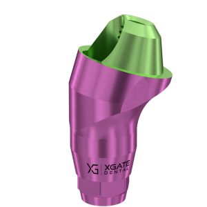 17° Multi-Unit Abutment D-Type GH 4 mm for Dentium® RP