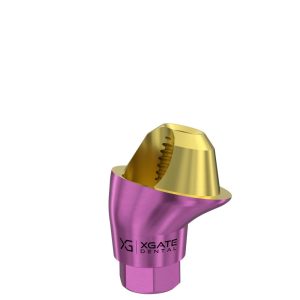 17° Multi-Unit Abutment D-Type GH 1 mm for Megagen AnyRidge®