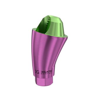17° Multi-Unit Abutment D-Type GH 4 mm for Megagen AnyRidge®