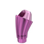 30° Multi-Unit Abutment D-Type GH 3 mm for Megagen AnyRidge®