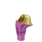 17° Multi-Unit Abutment D-Type GH 1 mm for Neodent GM®