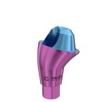 17° Multi-Unit Abutment D-Type GH 2 mm for Neodent GM®