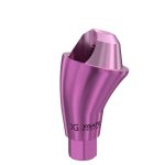 17° Multi-Unit Abutment D-Type GH 3 mm for Neodent GM®