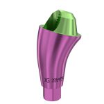 17° Multi-Unit Abutment D-Type GH 4 mm for Neodent GM®