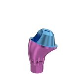 17° Multi-Unit Abutment D-Type GH 2 mm for Osstem® Hiossen® MP