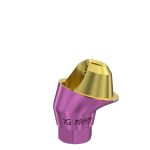 17° Multi-Unit Abutment D-Type GH 1 mm for Osstem® Hiossen® RP