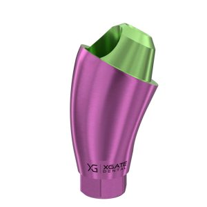 30° Multi-Unit Abutment D-Type GH 4 mm for Osstem® Hiossen® RP
