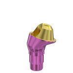 17° Multi-Unit Abutment D-Type GH 1 mm for Straumann® BL