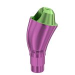 17° Multi-Unit Abutment D-Type GH 4 mm for Straumann® BL