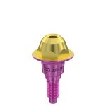 Straight Multi-Unit Abutment D-Type GH 1 mm for MIS® V3 NP