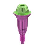 Straight Multi-Unit Abutment D-Type GH 4 mm for MIS® V3 NP