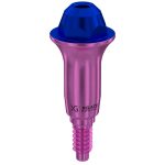 Straight Multi-Unit Abutment D-Type GH 5 mm for MIS® V3 NP