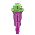 Straight Multi-Unit Abutment D-Type GH 4 mm for NobelActive® NP