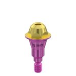 Straight Multi-Unit Abutment D-Type GH 1 mm for Straumann® BL