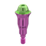 Straight Multi-Unit Abutment D-Type GH 4 mm for Straumann® BL