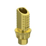 Ti-Base UNO Hex H6 GH 2 mm for Internal Hex RP
