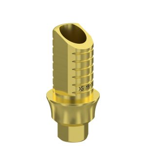 Ti-Base UNO Hex H6 GH 2 mm for Internal Hex RP