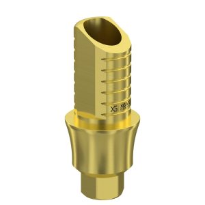 Ti-Base UNO Hex H6 GH 3 mm for Internal Hex RP