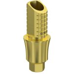 Ti-Base UNO Hex H6 GH 4 mm for Internal Hex RP
