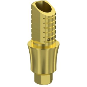 Ti-Base UNO Hex H6 GH 4 mm for Internal Hex RP