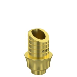 Ti-Base UNO Round H4 GH 2 mm for Internal Hex RP