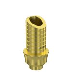 Ti-Base UNO Round H6 GH 2 mm for Internal Hex RP