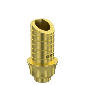 Ti-Base UNO Round H6 GH 2 mm for Internal Hex RP