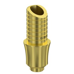 Ti-Base UNO Round H6 GH 4 mm for Internal Hex RP