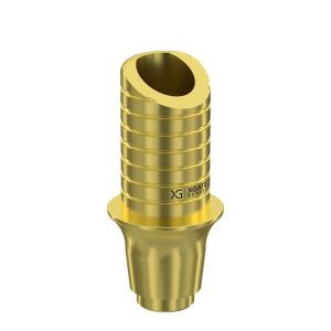 Ti-Base UNO Round H6 GH 2 mm for MIS® V3 RP