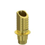 Ti-Base UNO Hex H6 GH 1 mm for Megagen AnyRidge®