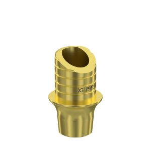 Ti-Base UNO Round H4 GH 2 mm for Megagen AnyRidge®