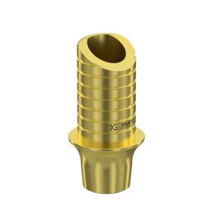 Ti-Base UNO Round H6 GH 2 mm for Megagen AnyRidge®