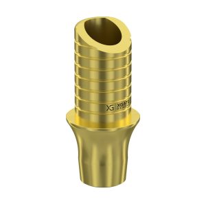 Ti-Base UNO Round H6 GH 3 mm for Megagen AnyRidge®