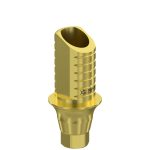 Ti-Base UNO Hex H6 GH 2 mm for NobelActive® NP
