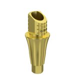 Ti-Base UNO Hex H4 GH 4 mm for Neodent GM®