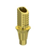 Ti-Base UNO Hex H6 GH 2 mm for Neodent GM®
