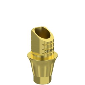 Ti-Base UNO Hex H4 GH 2 mm for XGATE X11 RP