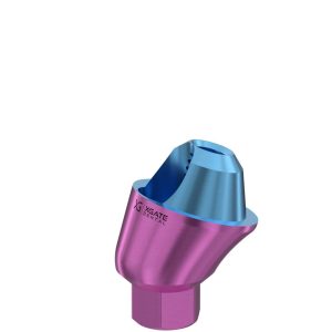 17° Multi-Unit Abutment D-Type GH 2 mm for Internal Hex RP
