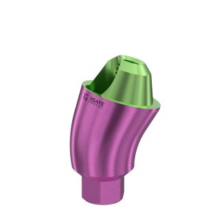 17° Multi-Unit Abutment D-Type GH 4 mm for Internal Hex RP