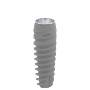X11 Dental Implant Ø4.2 L13 Conical 11° Regular Platform