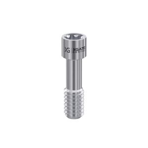 Screw for Abutment Torx6 for Internal Hex RP