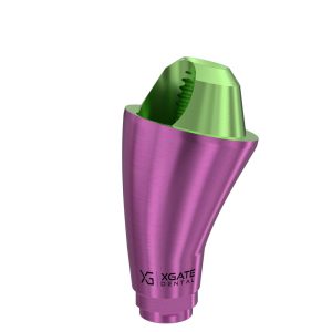 17° Multi-Unit Abutment D-Type GH 4 mm for MIS® V3 NP