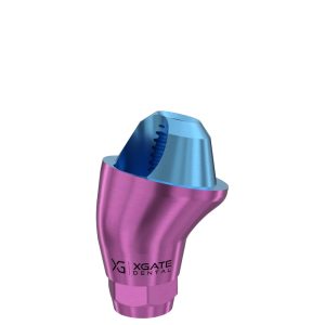 17° Multi-Unit Abutment D-Type GH 2 mm for Megagen AnyOne®