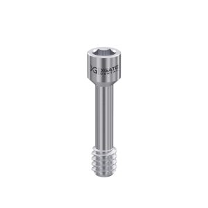 Screw for angled MUA D-type for Straumann® BL