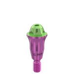 Straight Multi-Unit Abutment D-Type GH 4 mm for Dentium® RP