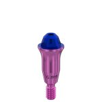 Straight Multi-Unit Abutment D-Type GH 5 mm for Dentium® RP